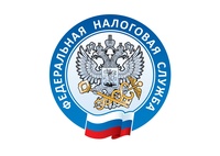 В июне налоговые органы Брянской области будут работать в новом формате
