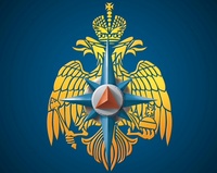 Новый Год совсем близко, и многие из нас уже украсили комнаты яркими гирляндами